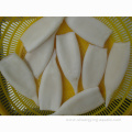 Frozen Giant Squid Todarodes Pacificus Tube High Quality